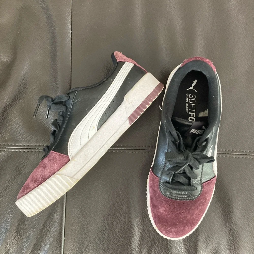 Pumas - Picture 3 of 4